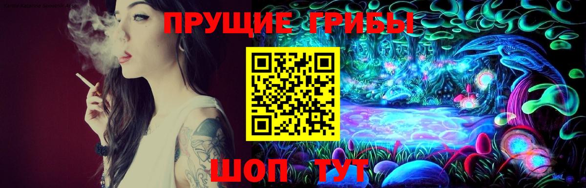 купить наркотик  Псилоцибиновые грибы MAGIC MUSHROOMS  Вход с VPN  Сибай  Галлюциногенные грибы Magic Shrooms 