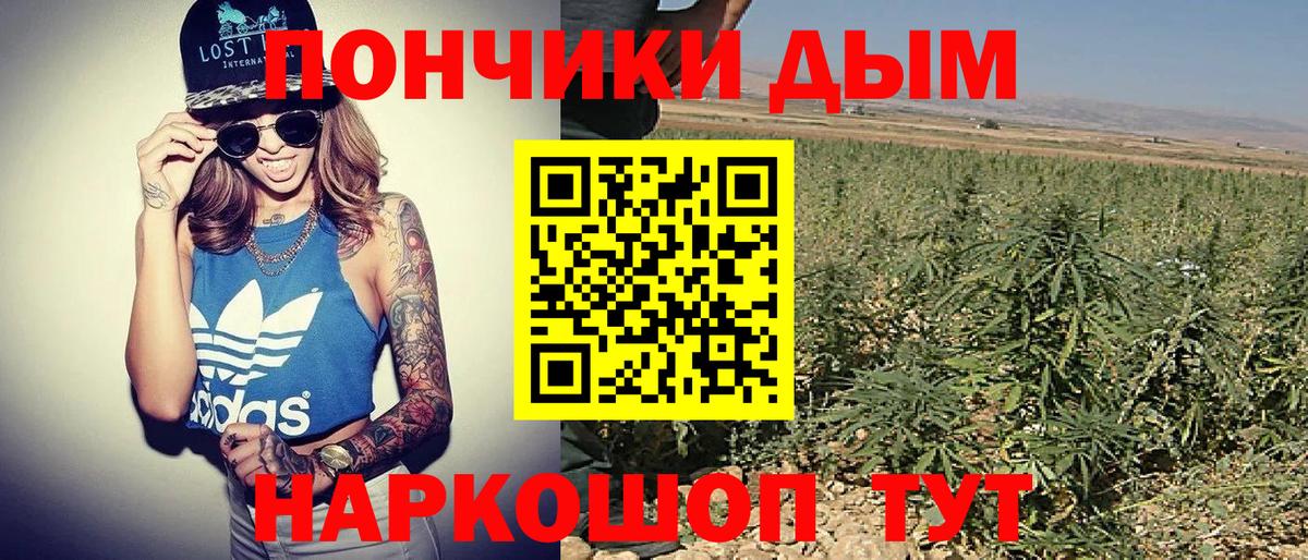 Бошки Шишки конопля Сибай